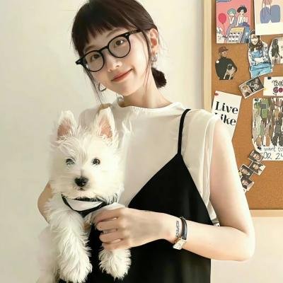 怪趣群鸟